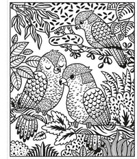 Zoo Magic Painting Book : Usborne