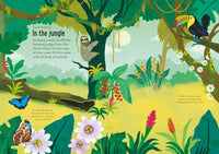 Little First Stickers Nature: Usborne
