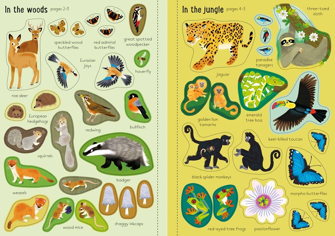 Little First Stickers Nature: Usborne