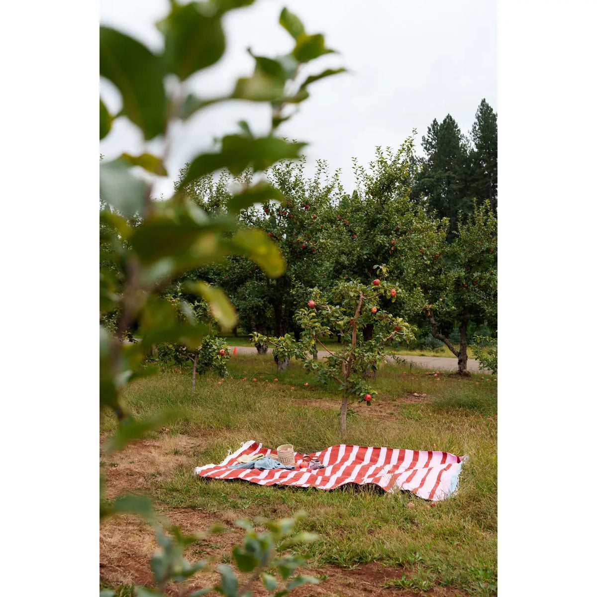 Marea Cereza - Blanket Roll