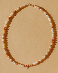 Paloma