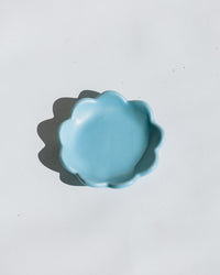 Blue Skies Dish