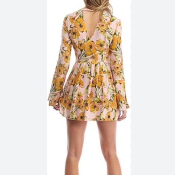 Tegan Printed Floral Pleated Dress Size 4