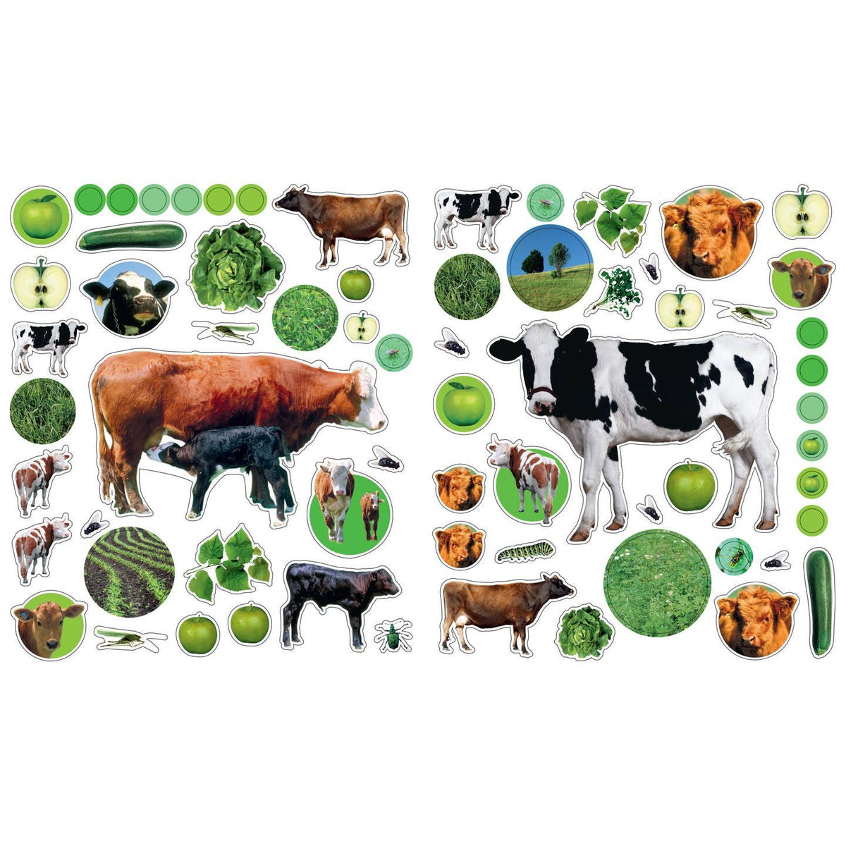 Eyelike Stickers: On the Farm