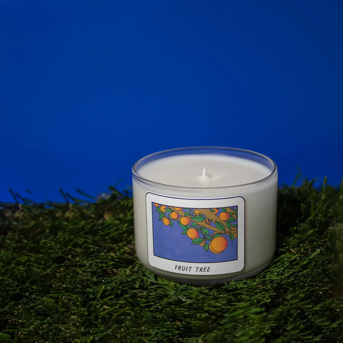 Fruit Tree / Apricot Mini Candle