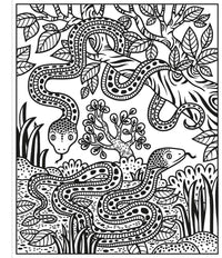 Zoo Magic Painting Book : Usborne