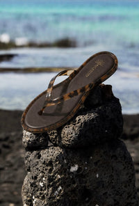 Sunwave Comfort Simple Thong Jelly Sandal in Tortoise