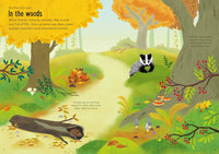 Little First Stickers Nature: Usborne
