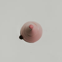 Trove in Blush