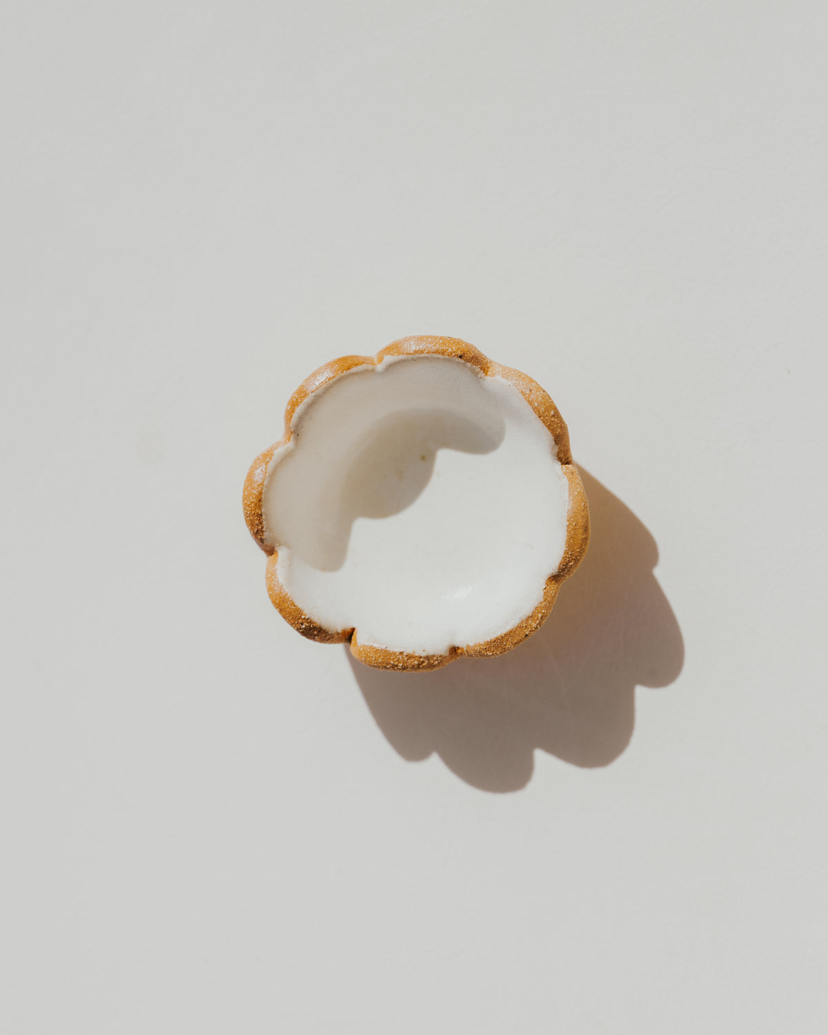Bloom Catchall