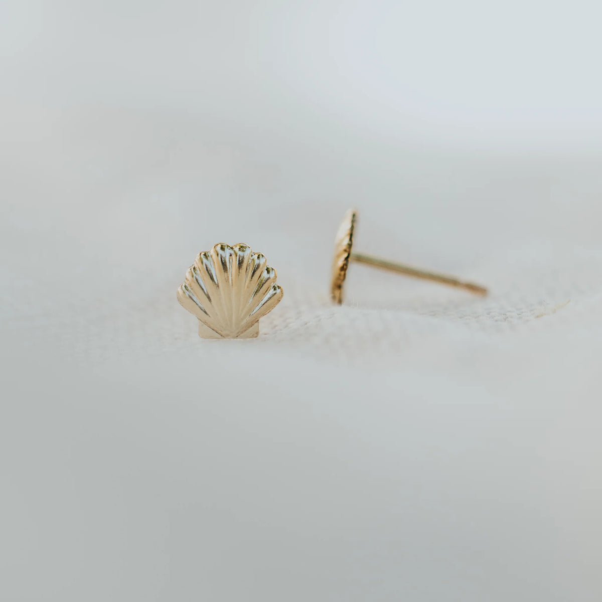 Sea  Shell Earrings
