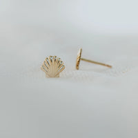 Sea  Shell Earrings