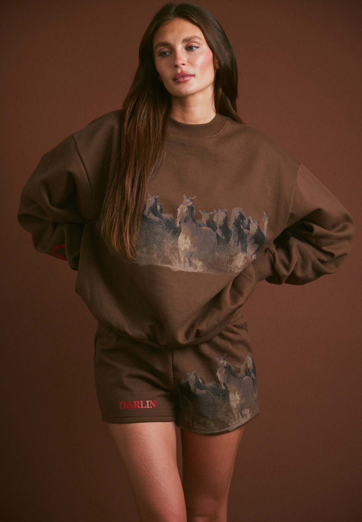 Wild Horse Crewneck in Tobacco