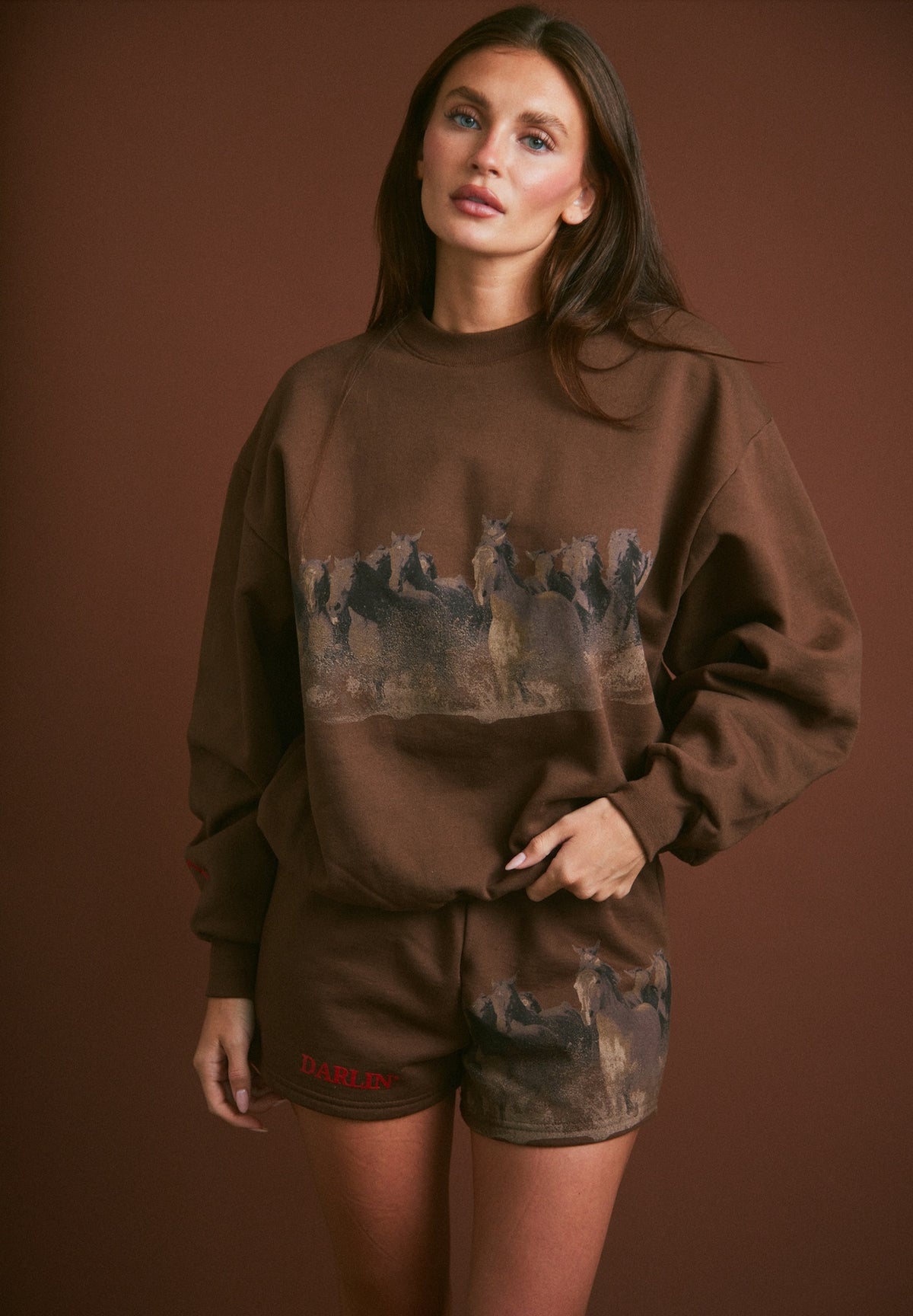 Wild Horse Crewneck in Tobacco