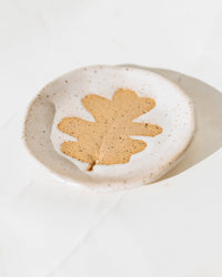 Little Oak Dish