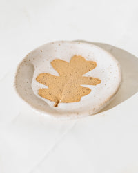 Little Oak Dish