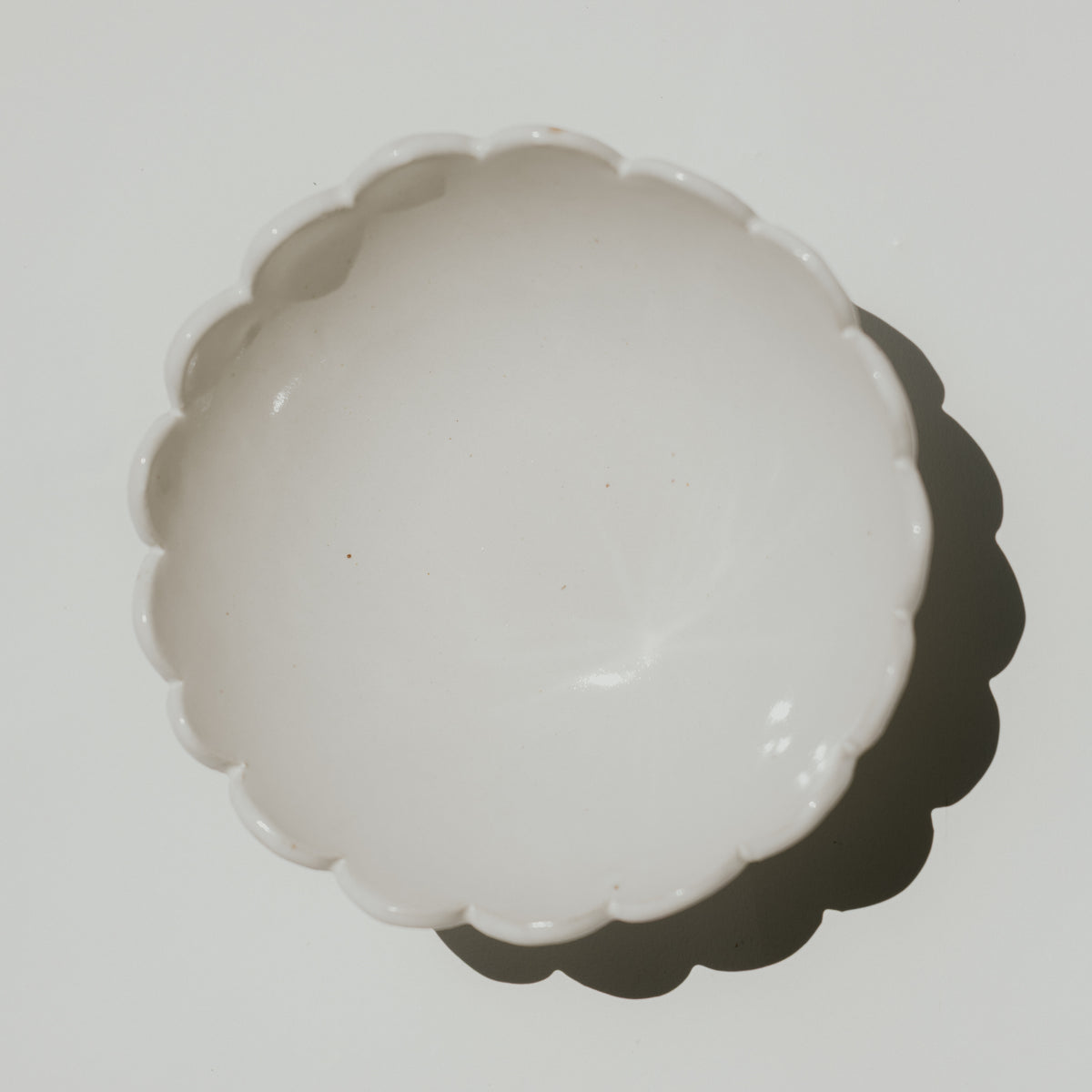 Scallop Bowl