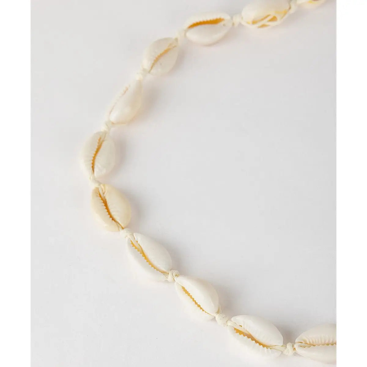 Cowrie Shell Hat Band