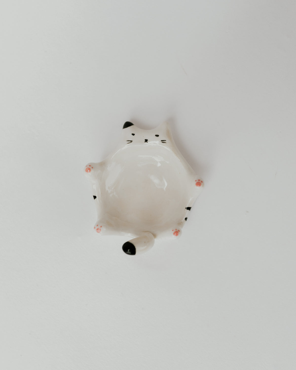 Kitty Dish