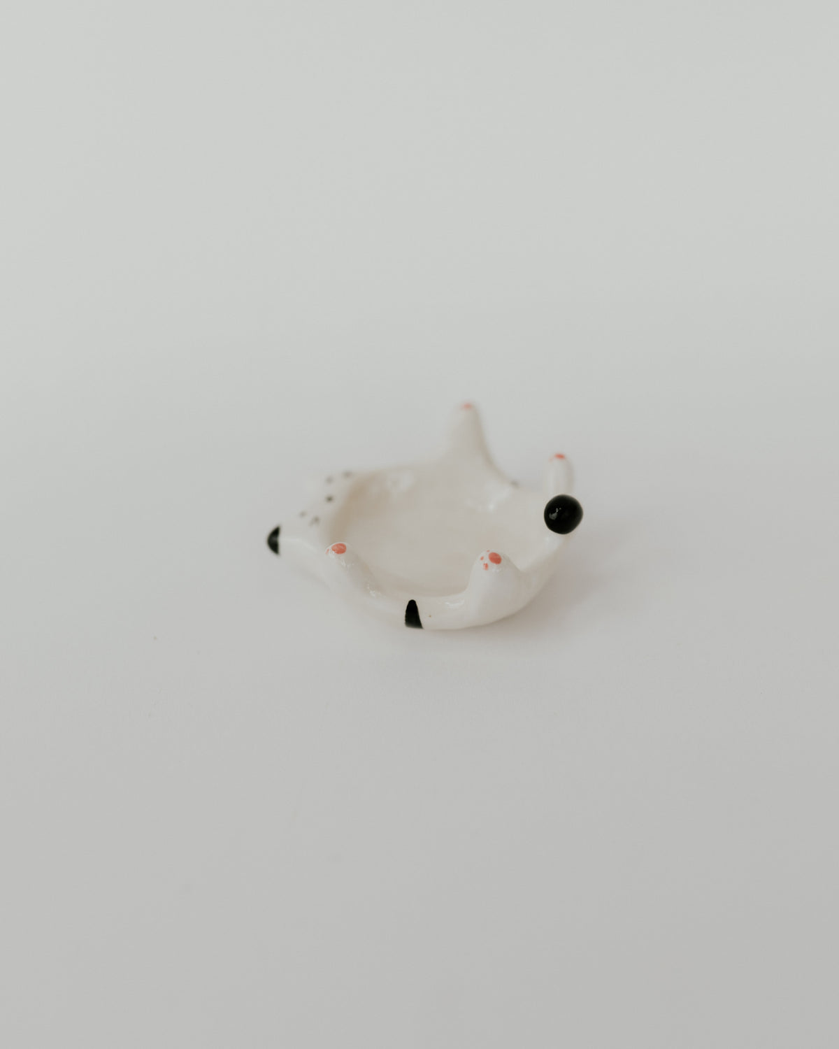 Kitty Dish